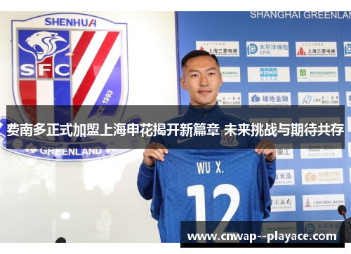 费南多正式加盟上海申花揭开新篇章 未来挑战与期待共存