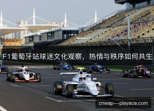 F1葡萄牙站球迷文化观察,热情与秩序如何共生 F1葡萄牙站球迷文化观察,热情与秩序如何共生